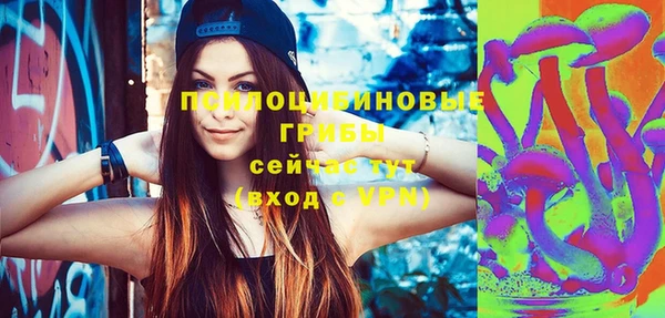 гашик Алексин