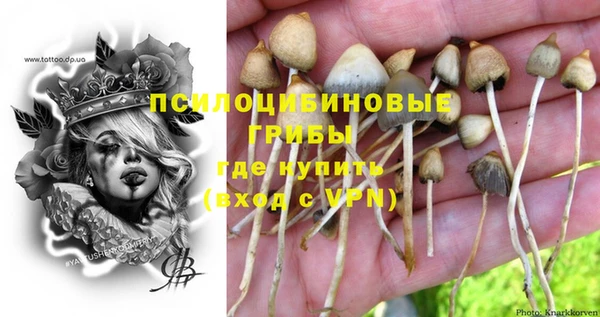 меф Алзамай